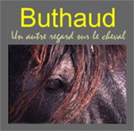 Un autre regard sur le cheval...